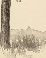 An illustration from The woman's book, dealing practically with the modern conditions of home-life, self-support, education, opportunties, and every-day problems (1894)