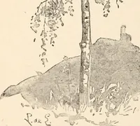 Picture 15 of 230 from The woman's book, dealing practically with the modern conditions of home-life, self-support, education, opportunties, and every-day problems (1894), leaf 43
