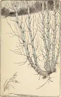 An illustration from The woman's book, dealing practically with the modern conditions of home-life, self-support, education, opportunties, and every-day problems (1894)