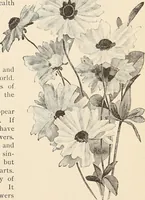 An illustration from The woman's book, dealing practically with the modern conditions of home-life, self-support, education, opportunties, and every-day problems (1894)