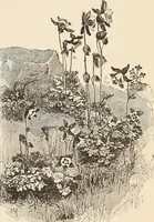 An illustration from The woman's book, dealing practically with the modern conditions of home-life, self-support, education, opportunties, and every-day problems (1894)