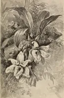 An illustration from The woman's book, dealing practically with the modern conditions of home-life, self-support, education, opportunties, and every-day problems (1894)