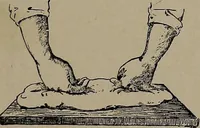 Picture 51 of 172 from The woman's book : dealing practically with the modern conditions of home-life, self-support, education, opportunties, and every-day problems (1894), leaf 152