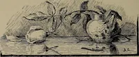 Picture 53 of 172 from The woman's book : dealing practically with the modern conditions of home-life, self-support, education, opportunties, and every-day problems (1894), leaf 169