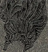 An illustration from The woman's book : dealing practically with the modern conditions of home-life, self-support, education, opportunties, and every-day problems (1894)