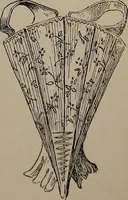 Picture 79 of 172 from The woman's book : dealing practically with the modern conditions of home-life, self-support, education, opportunties, and every-day problems (1894), leaf 226