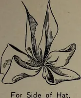 Picture 116 of 172 from The woman's book : dealing practically with the modern conditions of home-life, self-support, education, opportunties, and every-day problems (1894), leaf 274