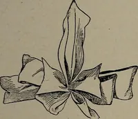 Picture 118 of 172 from The woman's book : dealing practically with the modern conditions of home-life, self-support, education, opportunties, and every-day problems (1894), leaf 274