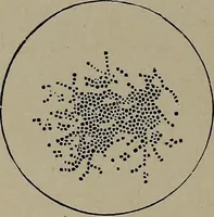 Picture 128 of 172 from The woman's book : dealing practically with the modern conditions of home-life, self-support, education, opportunties, and every-day problems (1894), leaf 293