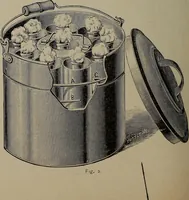 Picture 137 of 172 from The woman's book : dealing practically with the modern conditions of home-life, self-support, education, opportunties, and every-day problems (1894), leaf 319