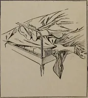 Picture 141 of 172 from The woman's book : dealing practically with the modern conditions of home-life, self-support, education, opportunties, and every-day problems (1894), leaf 326