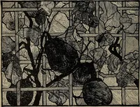 An illustration from The woman's book : dealing practically with the modern conditions of home-life, self-support, education, opportunties, and every-day problems (1894)