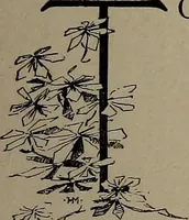 Picture 2 of 220 from The woman's book : dealing practically with the modern conditions of home-life, self-support, education, opportunties, and every-day problems (1894), leaf 22