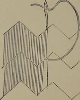 Picture 181 of 220 from The woman's book : dealing practically with the modern conditions of home-life, self-support, education, opportunties, and every-day problems (1894), leaf 249