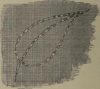 Picture 183 of 220 from The woman's book : dealing practically with the modern conditions of home-life, self-support, education, opportunties, and every-day problems (1894), leaf 251