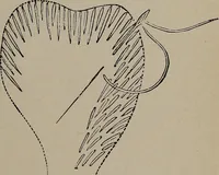 Picture 188 of 220 from The woman's book : dealing practically with the modern conditions of home-life, self-support, education, opportunties, and every-day problems (1894), leaf 254