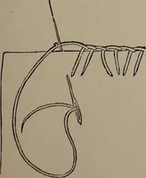 Picture 191 of 220 from The woman's book : dealing practically with the modern conditions of home-life, self-support, education, opportunties, and every-day problems (1894), leaf 256