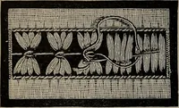 Picture 202 of 220 from The woman's book : dealing practically with the modern conditions of home-life, self-support, education, opportunties, and every-day problems (1894), leaf 271