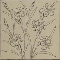 Picture 208 of 220 from The woman's book : dealing practically with the modern conditions of home-life, self-support, education, opportunties, and every-day problems (1894), leaf 290