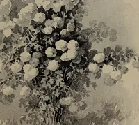 Picture 10 of 220 from The woman's book : dealing practically with the modern conditions of home-life, self-support, education, opportunties, and every-day problems (1894), leaf 36