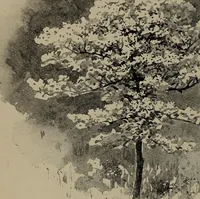 An illustration from The woman's book : dealing practically with the modern conditions of home-life, self-support, education, opportunties, and every-day problems (1894)