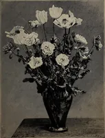 Picture 25 of 220 from The woman's book : dealing practically with the modern conditions of home-life, self-support, education, opportunties, and every-day problems (1894), leaf 64