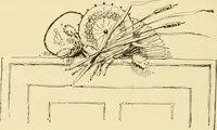 Picture 44 of 49 from Woman’s handiwork in modern homes, by Constance Cary Harrison; with numerous illustrations and five colored plates from designs by Samuel Colman, Rosina Emmet, George Gibson, and others (1881), leaf 223