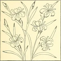 An illustration from Woman’s handiwork in modern homes, by Constance Cary Harrison; with numerous illustrations and five colored plates from designs by Samuel Colman, Rosina Emmet, George Gibson, and others (1881)