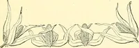 An illustration from Woman’s handiwork in modern homes, by Constance Cary Harrison; with numerous illustrations and five colored plates from designs by Samuel Colman, Rosina Emmet, George Gibson, and others (1881)