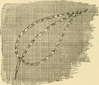 An illustration from Woman’s handiwork in modern homes, by Constance Cary Harrison; with numerous illustrations and five colored plates from designs by Samuel Colman, Rosina Emmet, George Gibson, and others (1881)