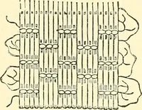 An illustration from Woman’s handiwork in modern homes, by Constance Cary Harrison; with numerous illustrations and five colored plates from designs by Samuel Colman, Rosina Emmet, George Gibson, and others (1881)