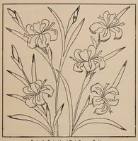 Picture 16 of 16 from Woman's handiwork in modern homes (1881), leaf 251