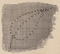 Picture 2 of 16 from Woman's handiwork in modern homes (1881), leaf 50