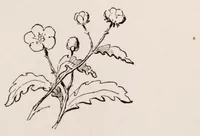 An illustration from Woman's handiwork in modern homes (1882)