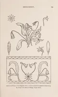 Picture 2 of 11 from Woman's handiwork in modern homes (1882), leaf 41