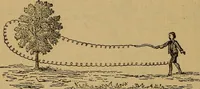 Picture 68 of 68 from Wonders of bodily strength and skill, in all ages and countries (1885), leaf 339