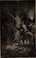 An illustration from Wonders of bodily strength and skill : in all ages and all countries (1873)
