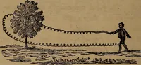 Picture 68 of 68 from Wonders of bodily strength and skill : in all ages and all countries (1873), leaf 341