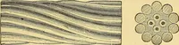 An illustration from Wonders of electricity (1872)