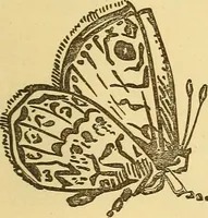 An illustration from Wonders of electricity (1872)