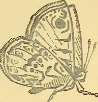 An illustration from Wonders of electricity (1872)