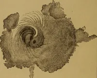 An illustration from The wonders of the heavens (1871)