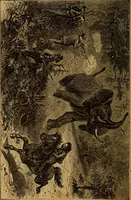 An illustration from The wonders of the heavens (1871)