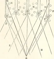 An illustration from The wonders of the heavens, being a popular view of astronomy, including a full illustration of the mechanism of the heavens; embracing the sun, moon, and stars, with descriptions of the planets, comets, fixed stars, double stars, the constellations, the galaxy, or milky-way, the zodiacal light, aurora borealis, or norhtern lights, meteors, clouds, falling stars, aërolites, &c (1837)