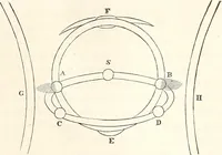 An illustration from The wonders of the heavens, being a popular view of astronomy, including a full illustration of the mechanism of the heavens; embracing the sun, moon, and stars, with descriptions of the planets, comets, fixed stars, double stars, the constellations, the galaxy, or milky-way, the zodiacal light, aurora borealis, or norhtern lights, meteors, clouds, falling stars, aërolites, &c (1837)