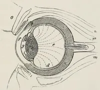 An illustration from Wonders of light and of colour (1890)