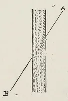 An illustration from Wonders of light and of colour (1890)