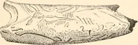 An illustration from Wonders of sculpture (1873)