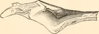 An illustration from Wonders of sculpture (1873)