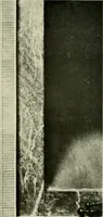 An illustration from The wood-carver of Salem; Samuel McIntire, his life and work (1916)